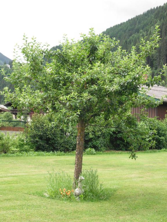 Haus Christophorus Apartment Bad Gastein Exterior photo